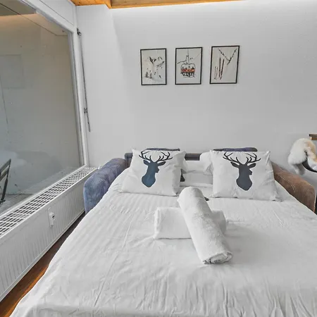 Renove Au Centre De La